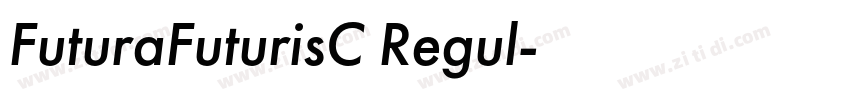FuturaFuturisC Regul字体转换